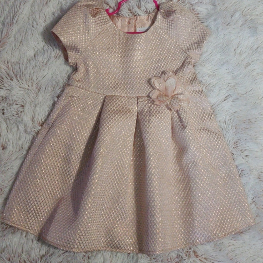 Childrens Place Dress